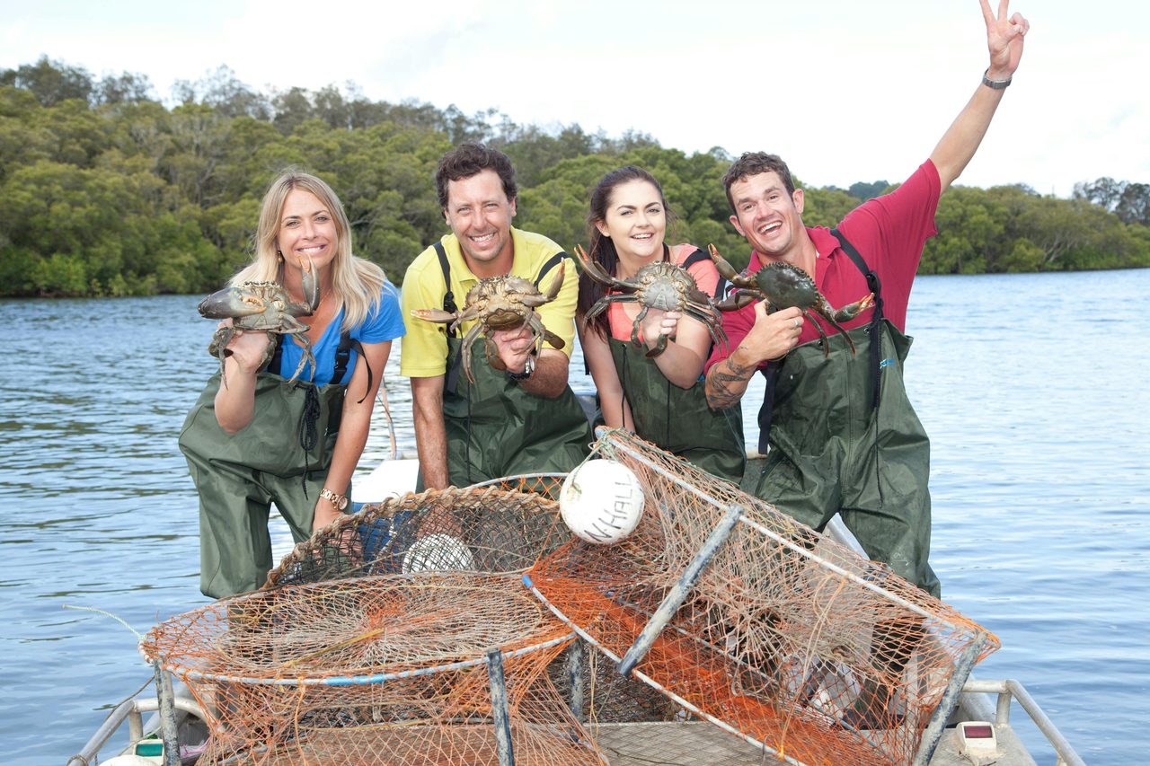 Mud Crabs!