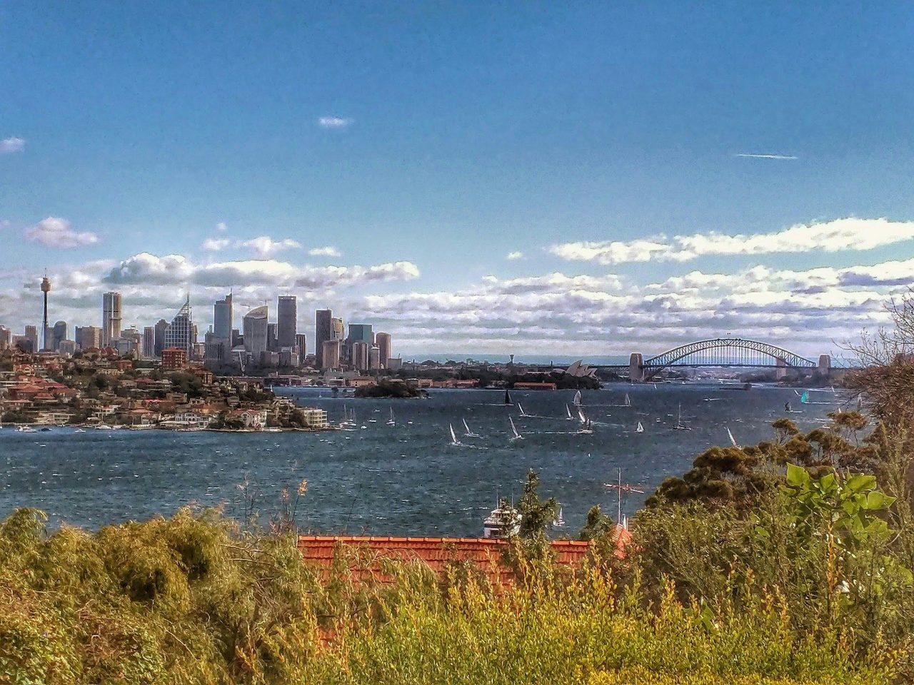 Sydney Harbour from the Eastern Suburbs