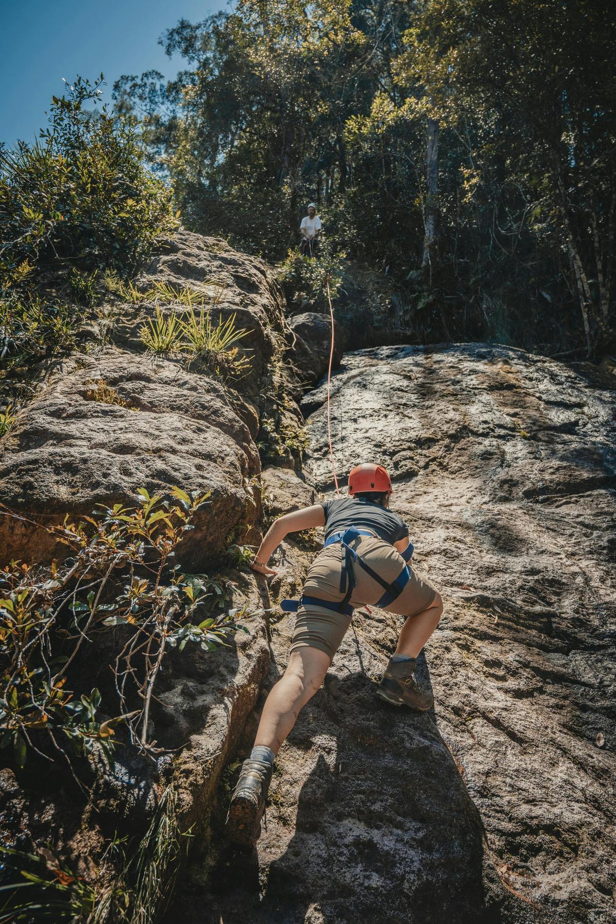 Private Climbing Tour with Wilderness Adventures Byron Bay and North Coast Hinterland  NSW Australia