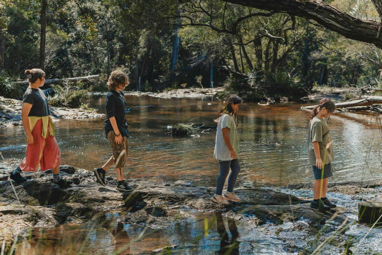 Get in touch with nature on a bushwalking tour