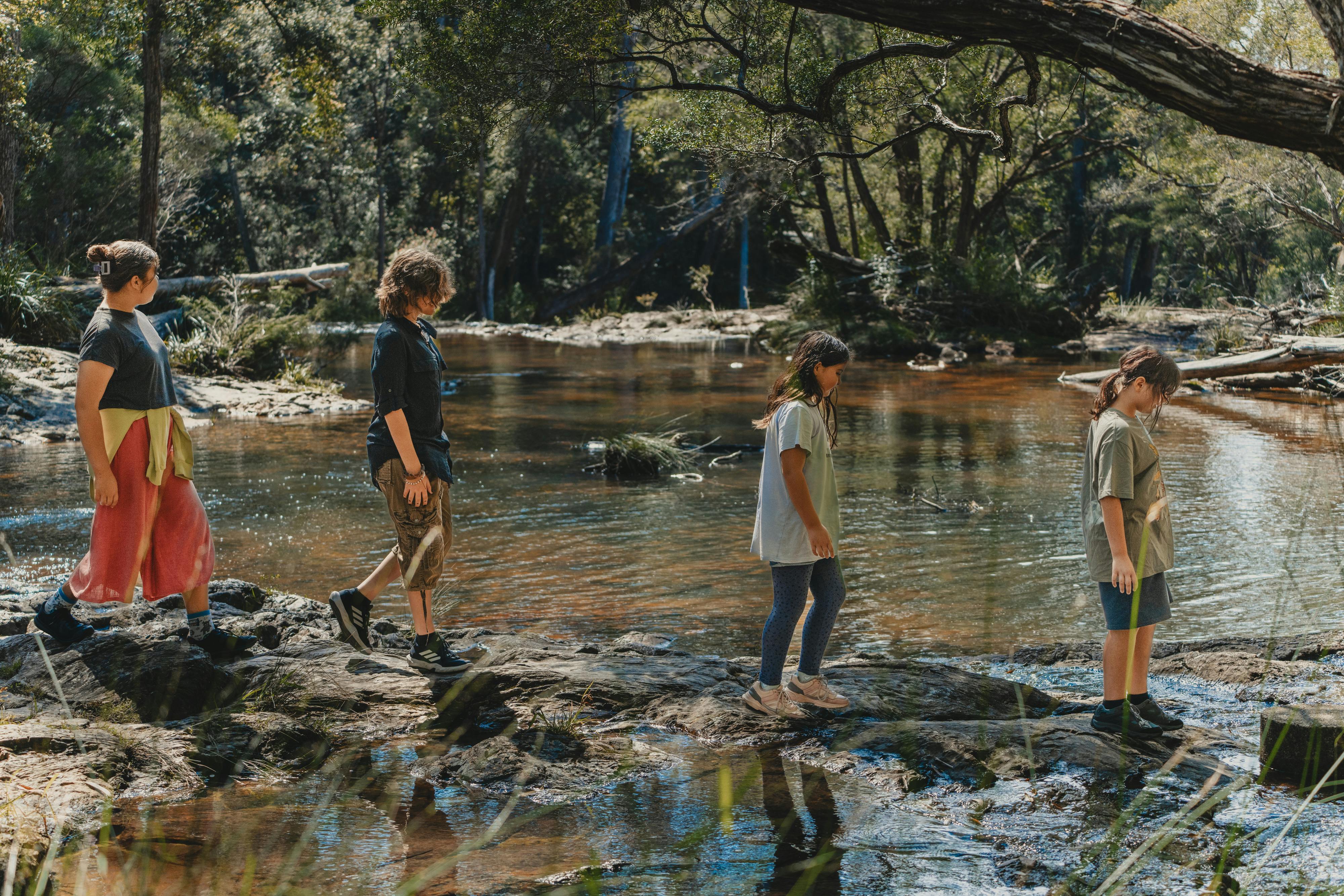 Get in touch with nature on a bushwalking tour