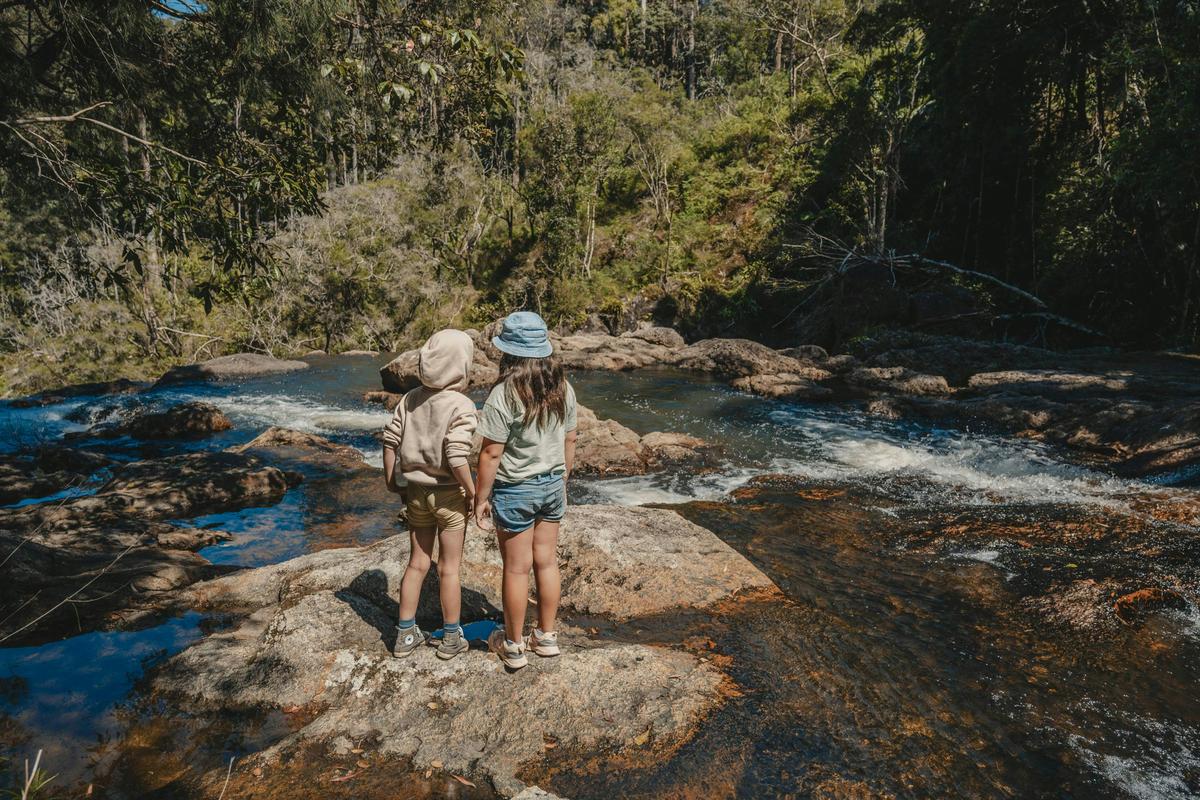 Connecting the family with nature on a bushwalking tour in the NSW Northern Rivers
