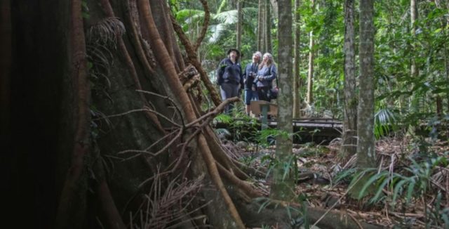 Wildlife Safari Tour