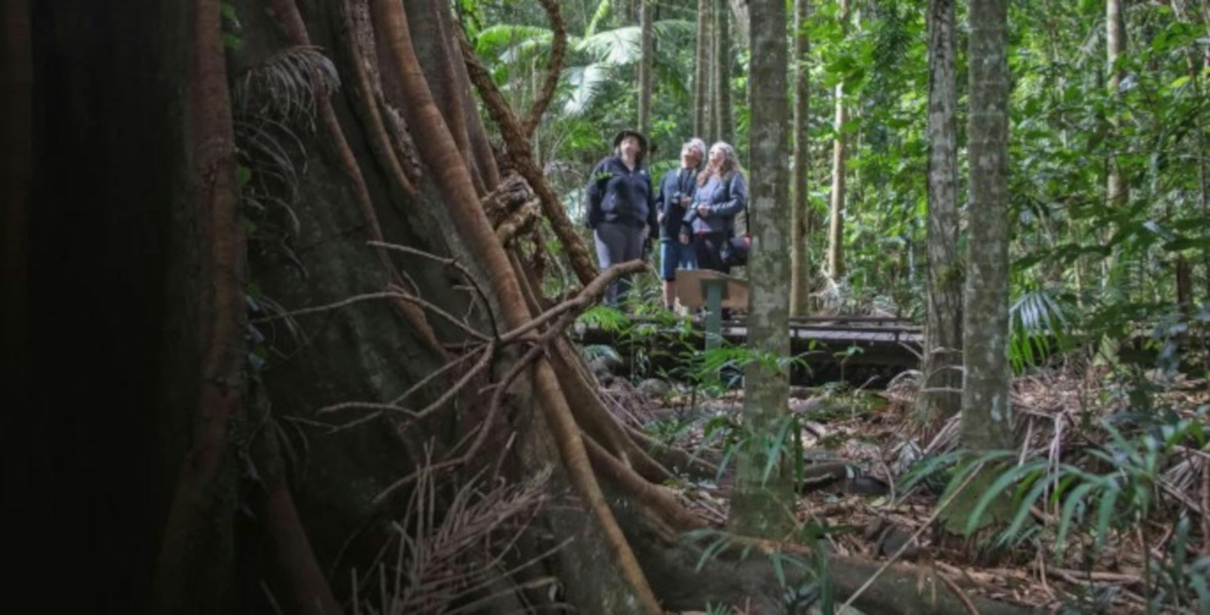 Vision Walks Wildlife Safari