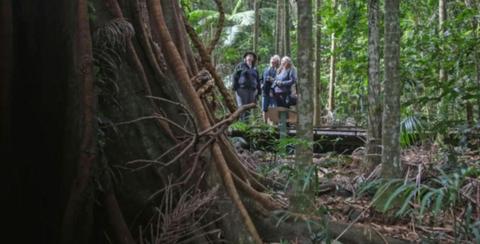 Wildlife Safari Tour