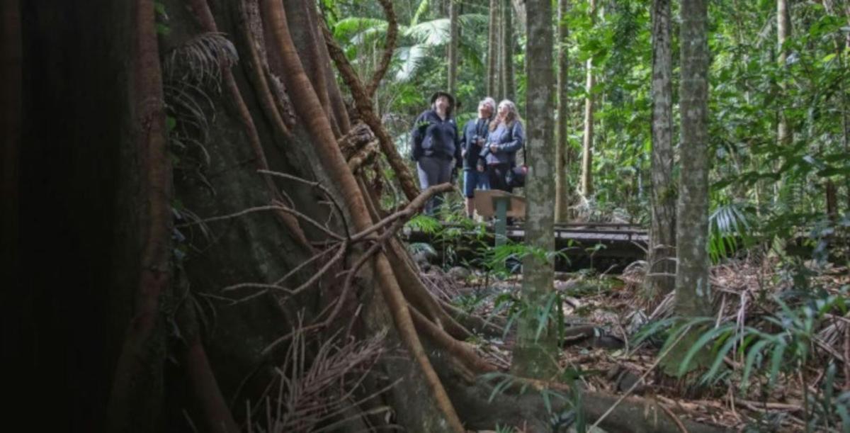 Wildlife Safari Tour