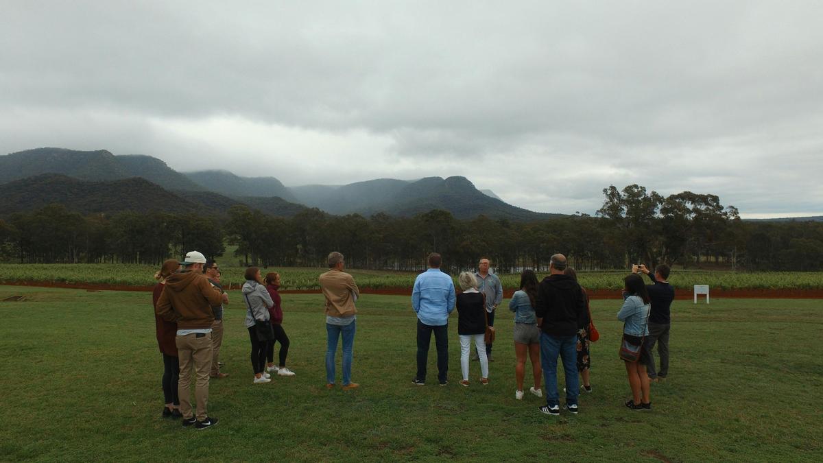 Hunter Valley Winery Tour