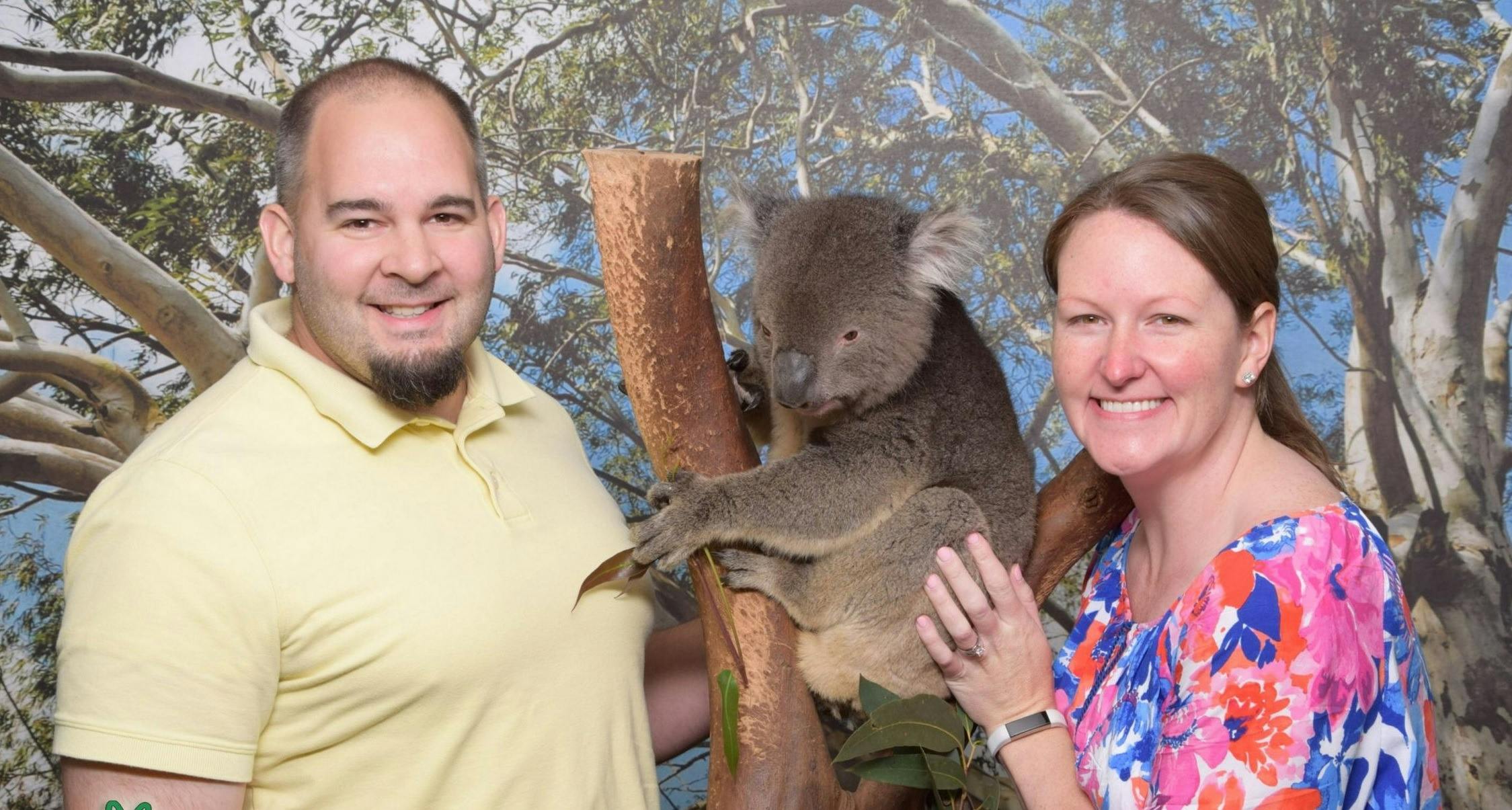 Sydney Private Day Tours