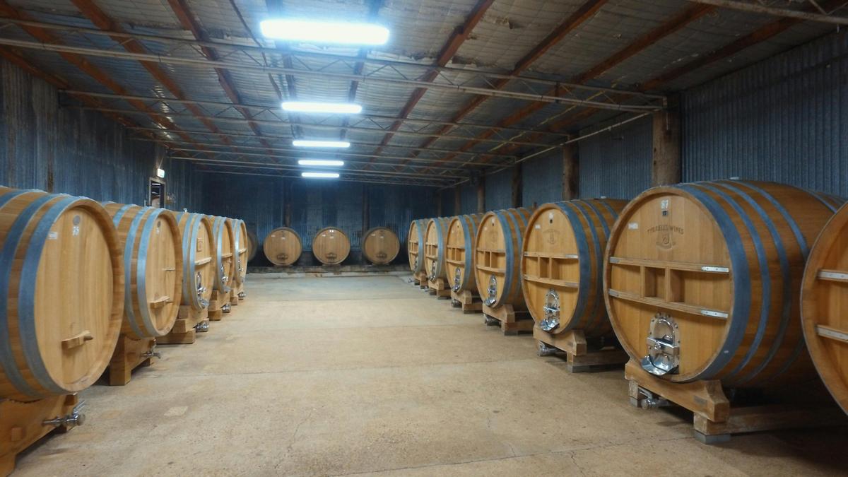 Hunter Valley Wine Tour