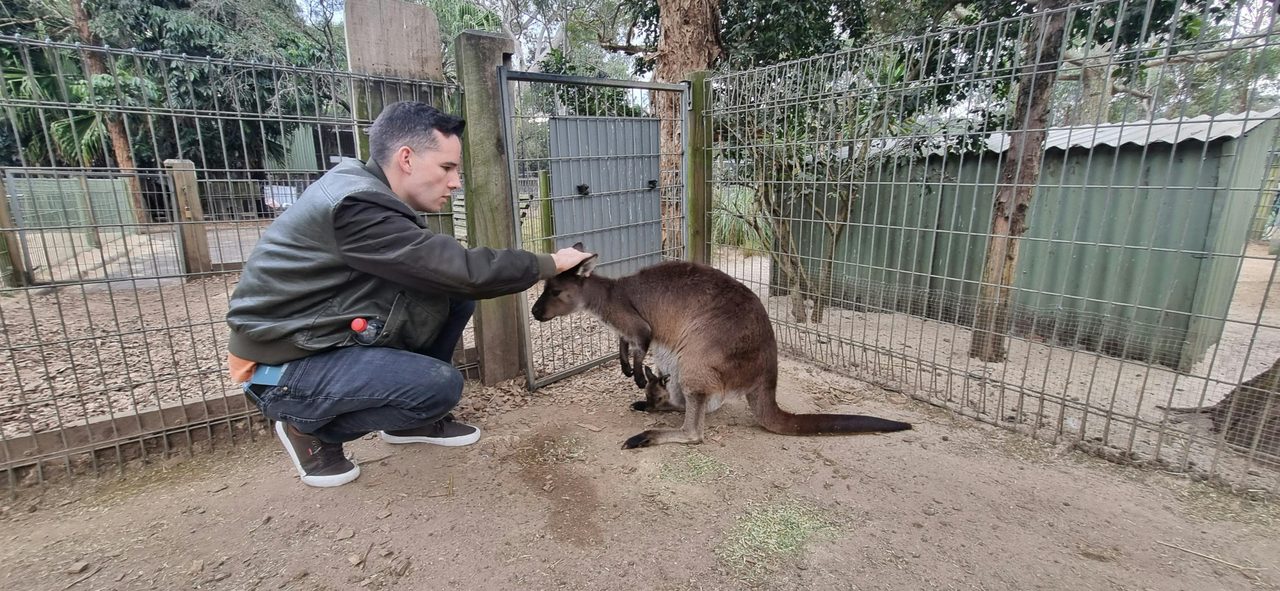 Sydney Private Tours
