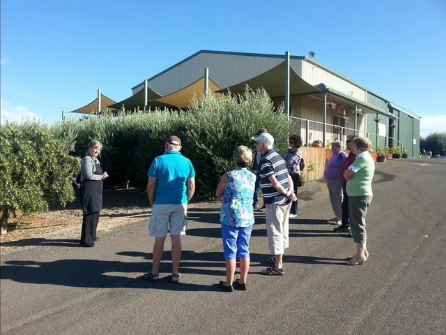 Varapodio Estate Oilve Oil Tours