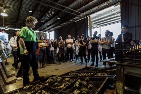 Sydney Oyster Farm Tours