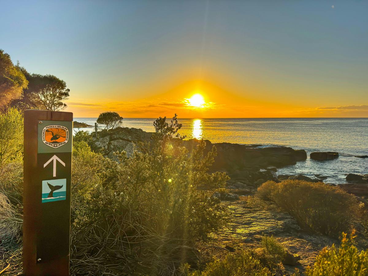 Paint & Hike: Sapphire Coast