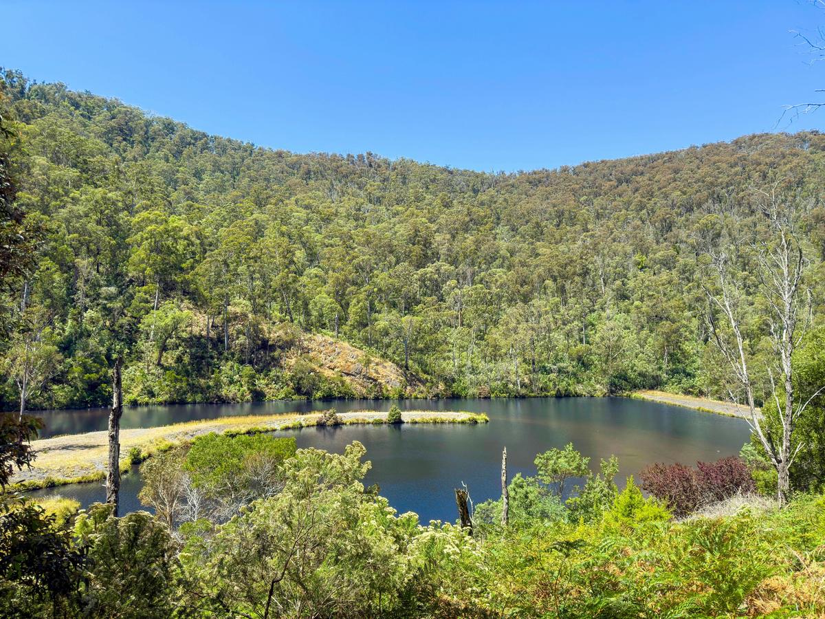 Australian Alps Walking Track: Hotham to Walhalla