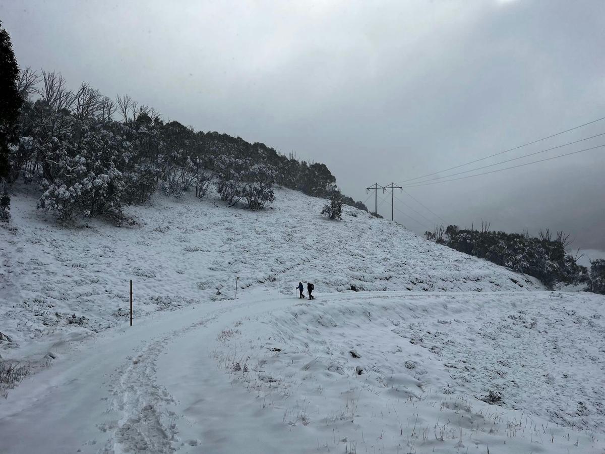 Two hikers on snowshoes walking along a snow-covered fireroad.