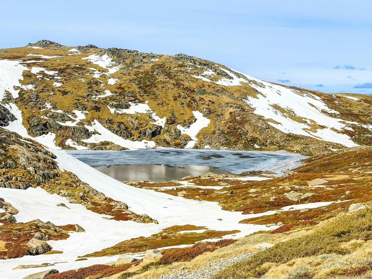 Kosciuszko Summit Hike