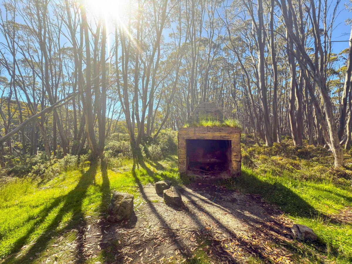 Australian Alps Walking Track: Hotham to Walhalla