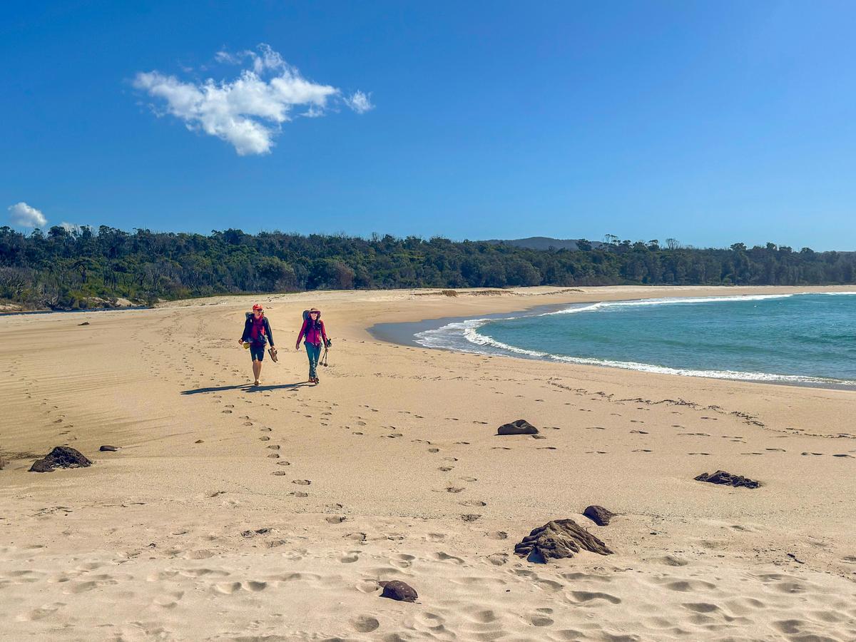 Paint & Hike: Sapphire Coast