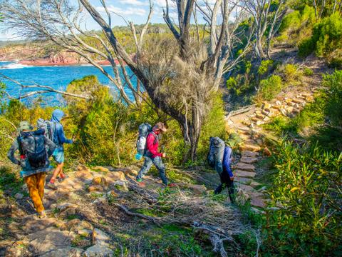 Paint & Hike: Sapphire Coast
