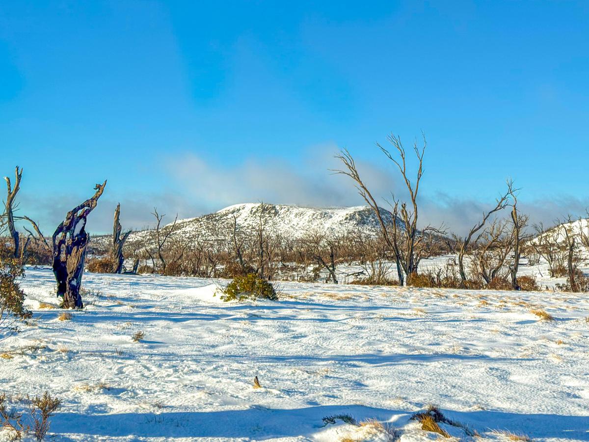 Kiandra to Kosciuszko Snow Camping Expedition