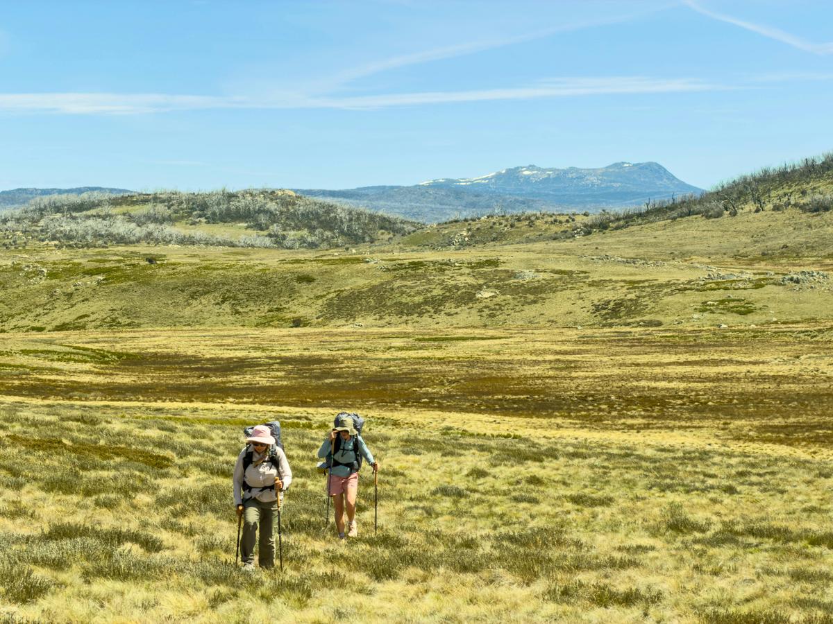 Australian Alps Walking Track: Canberra to Kosciuszko