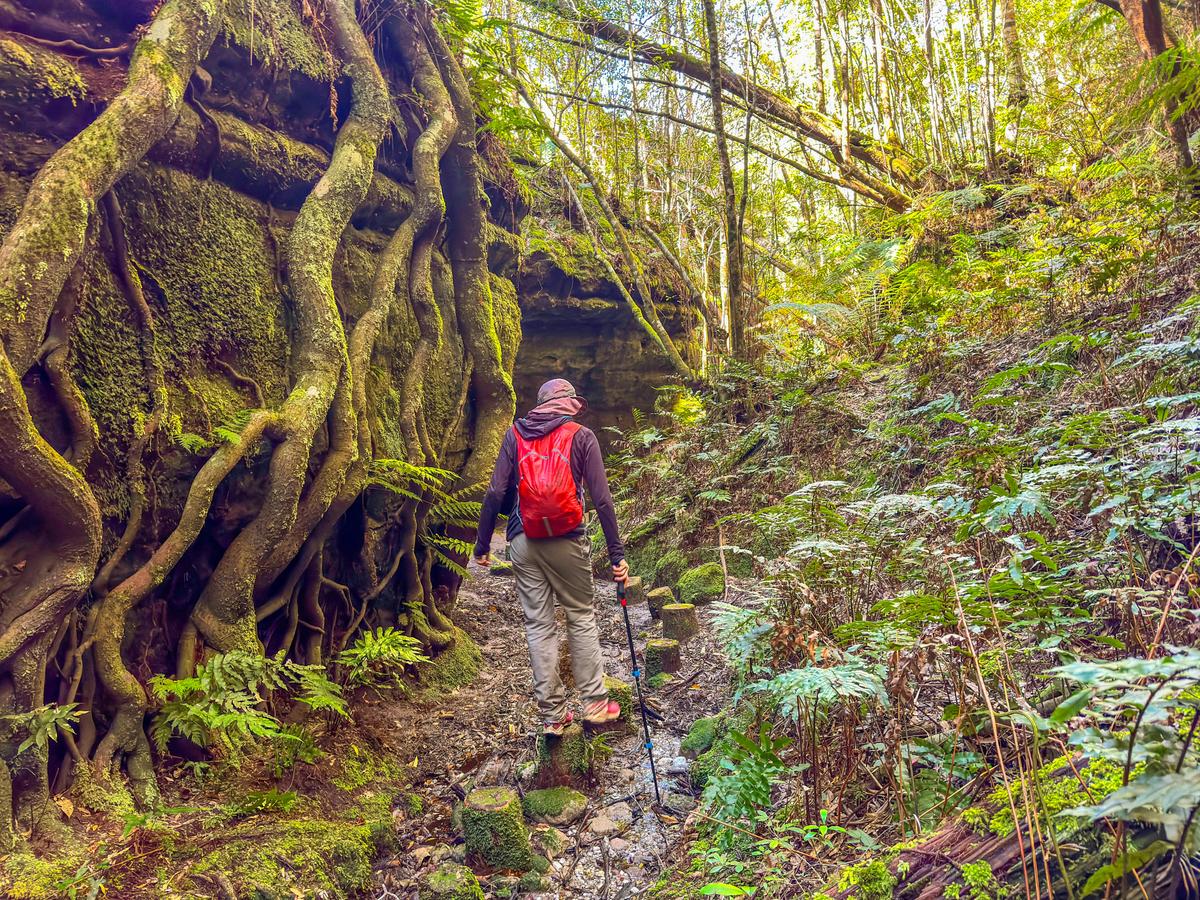 Budawangs Traverse