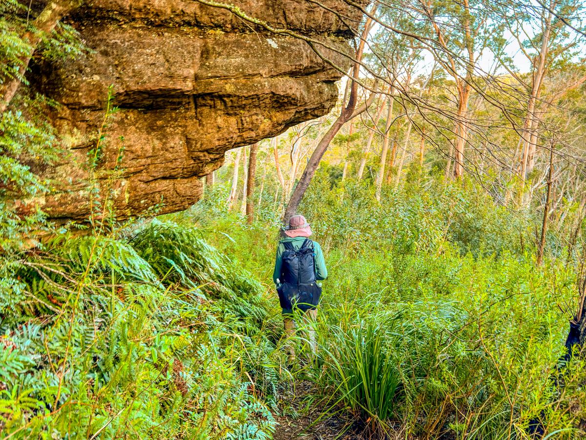 Budawangs Traverse