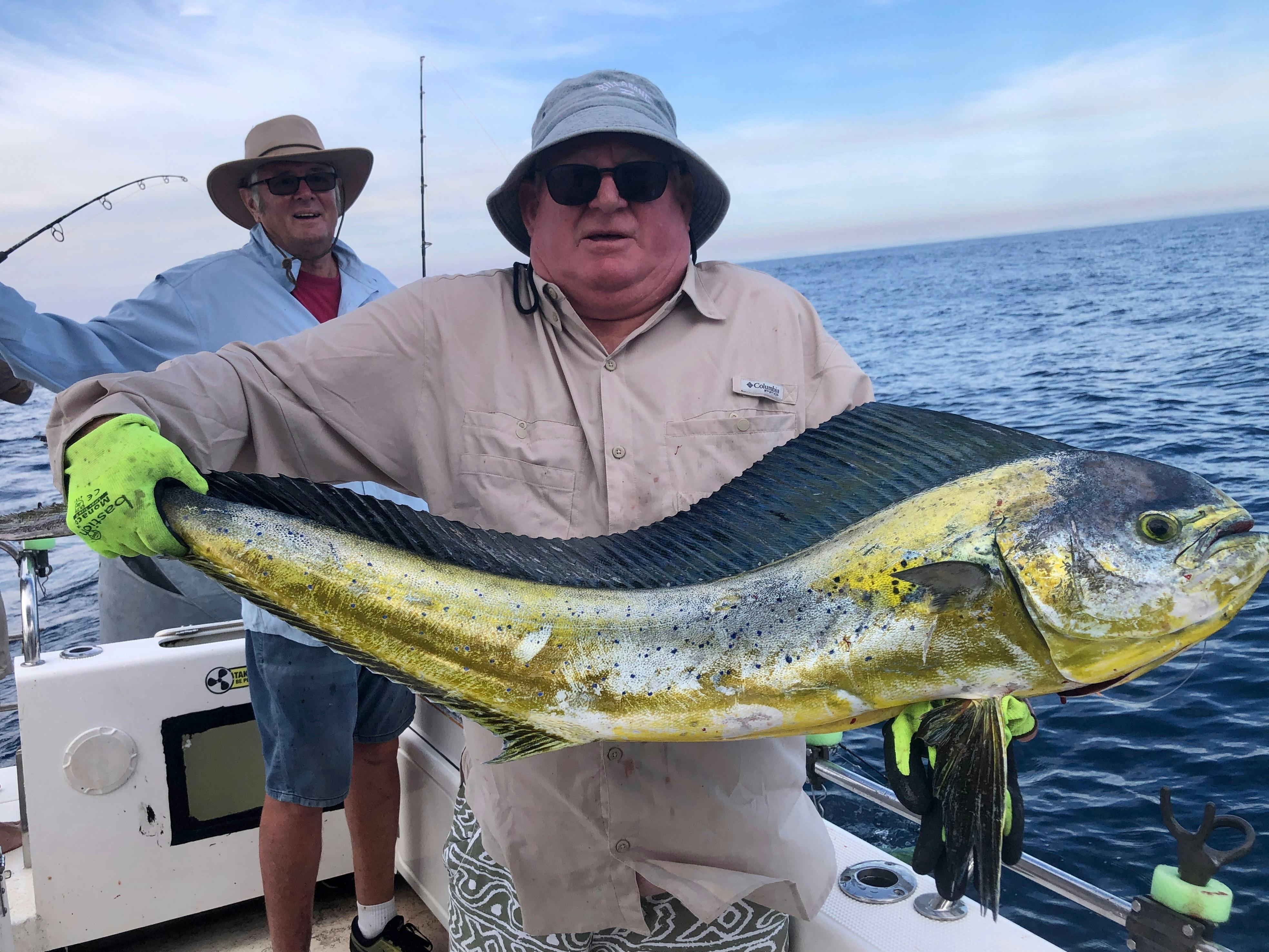 Yamba Fishing and Charters Mahi Mahi