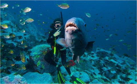 An Underwater Safari
