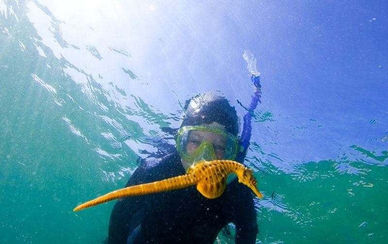 Squid Squad for kids @ BAr Beach Narooma