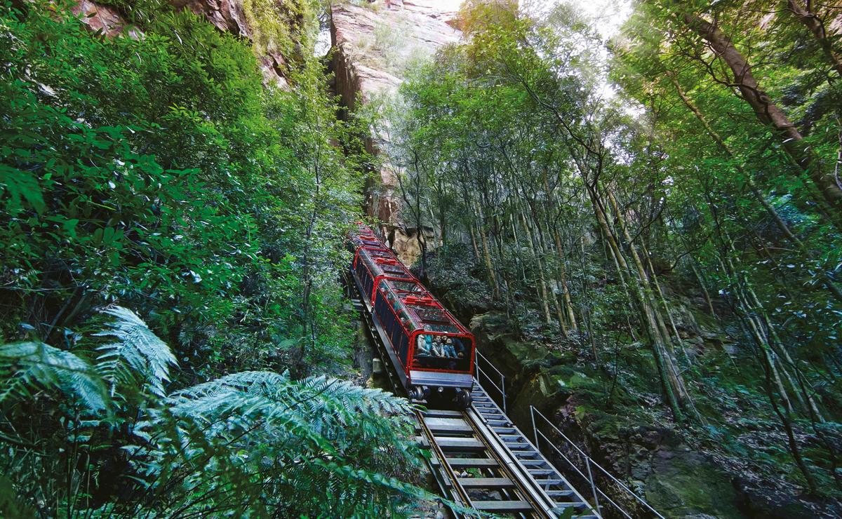 Enjoy the thrilling rides at Scenic World