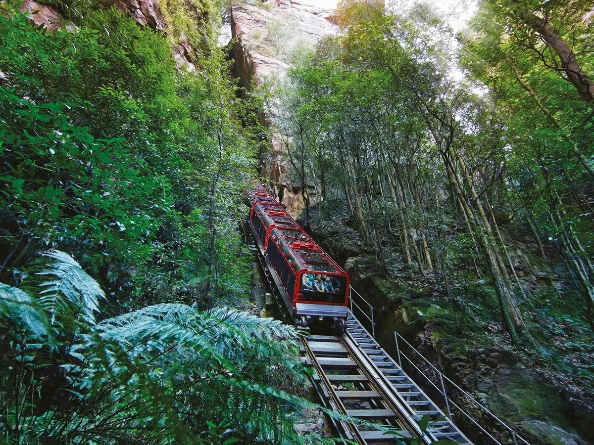 Enjoy thrilling rides at Scenic World