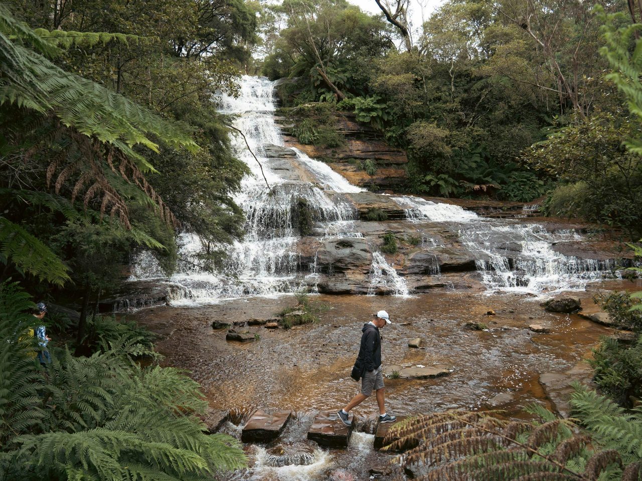 Blue Mountains Tours