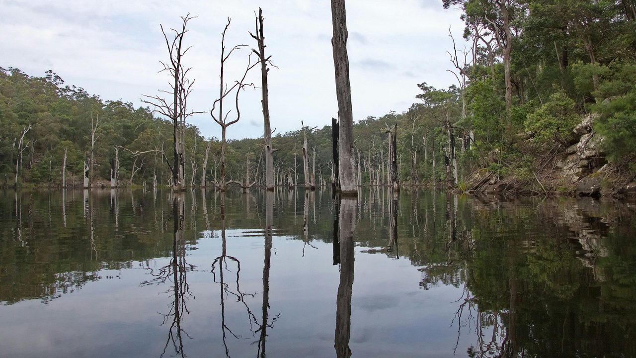Shoalhaven Gorge overnight paddle