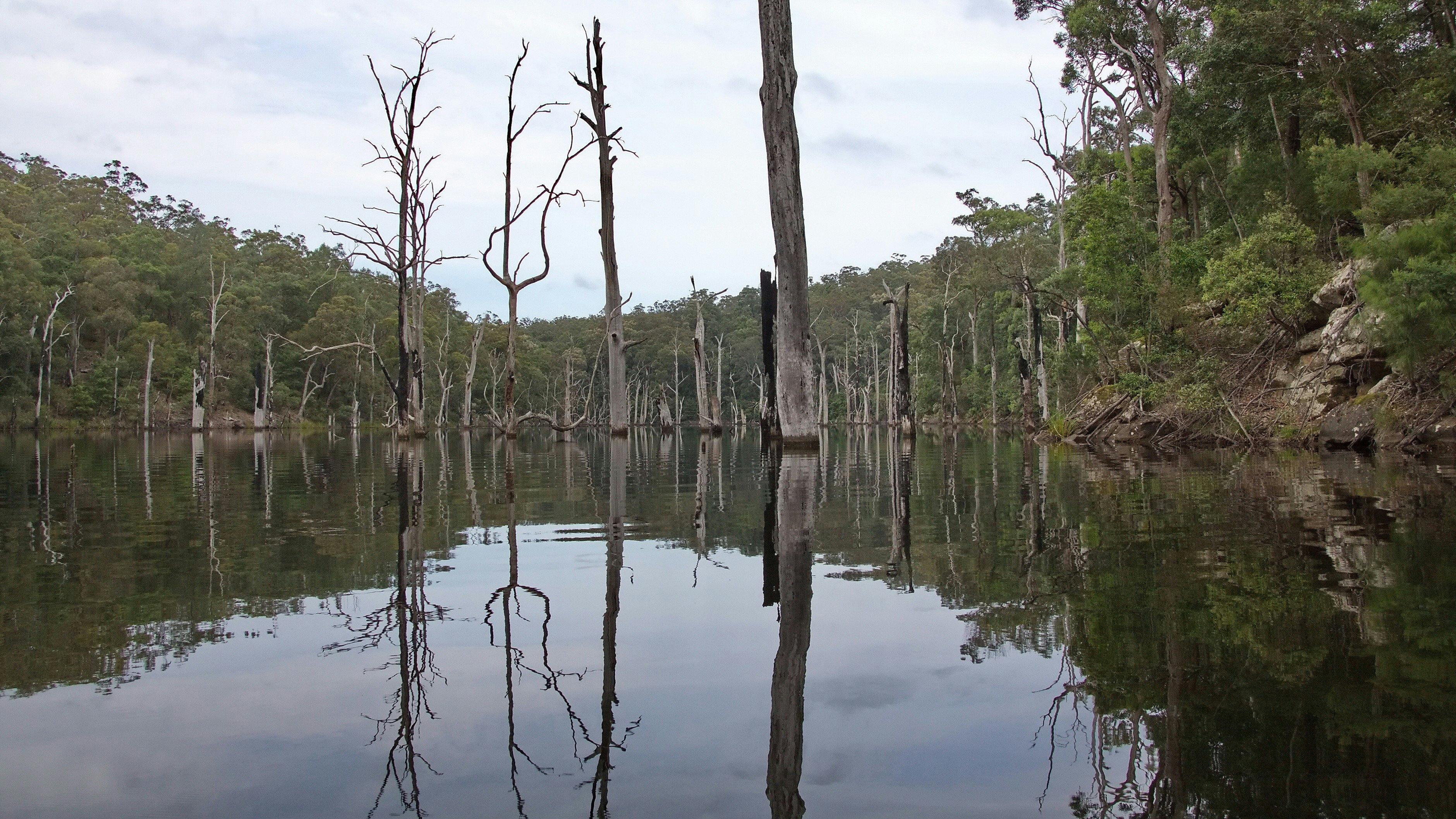 Shoalhaven Gorge overnight paddle