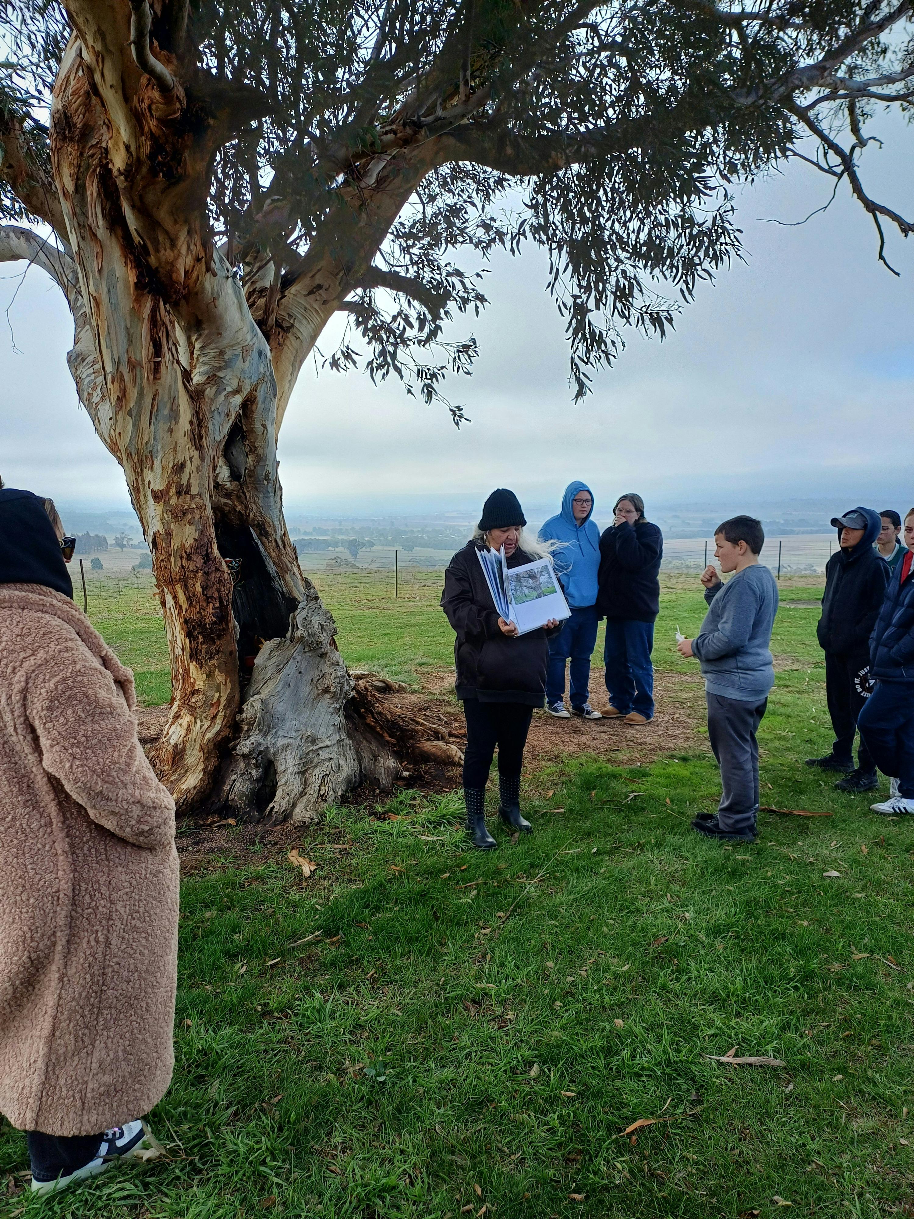 Aunty Enid at Tout's Lookout providing tour.