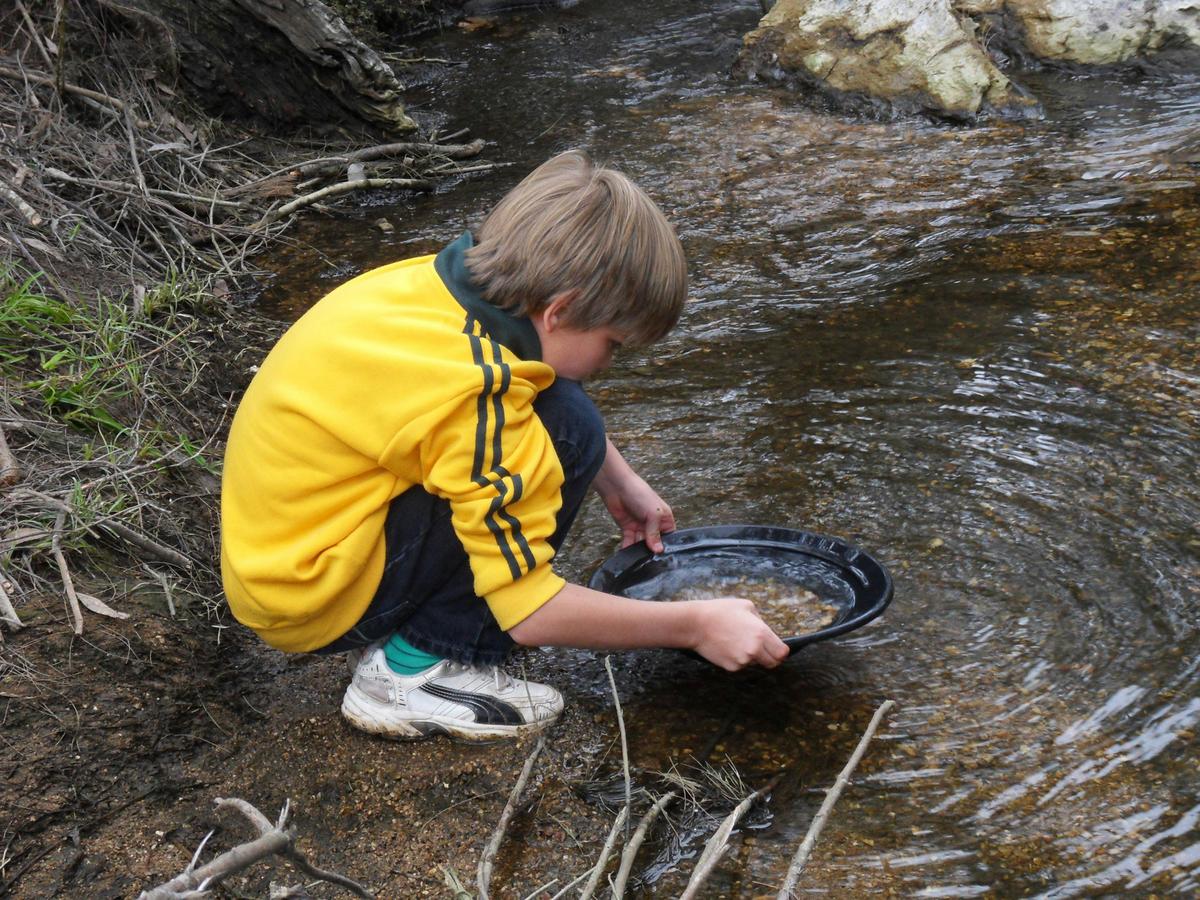Gold Panning Tours
