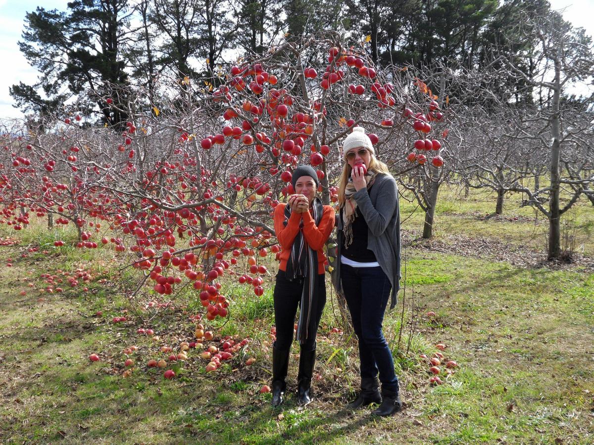 Simmo's Wine & Food Safari