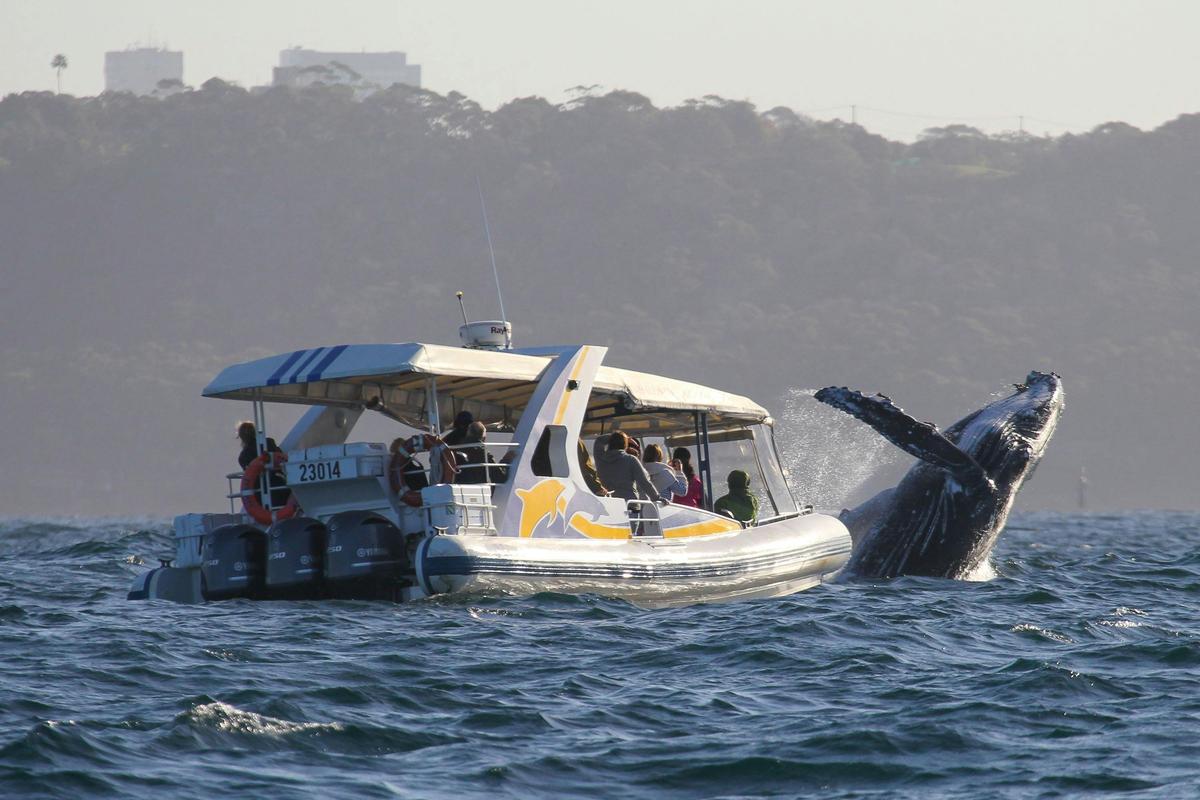 2hr Adventure Cruise