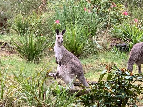 Wildflowers, invertibrates, sights and wildlife