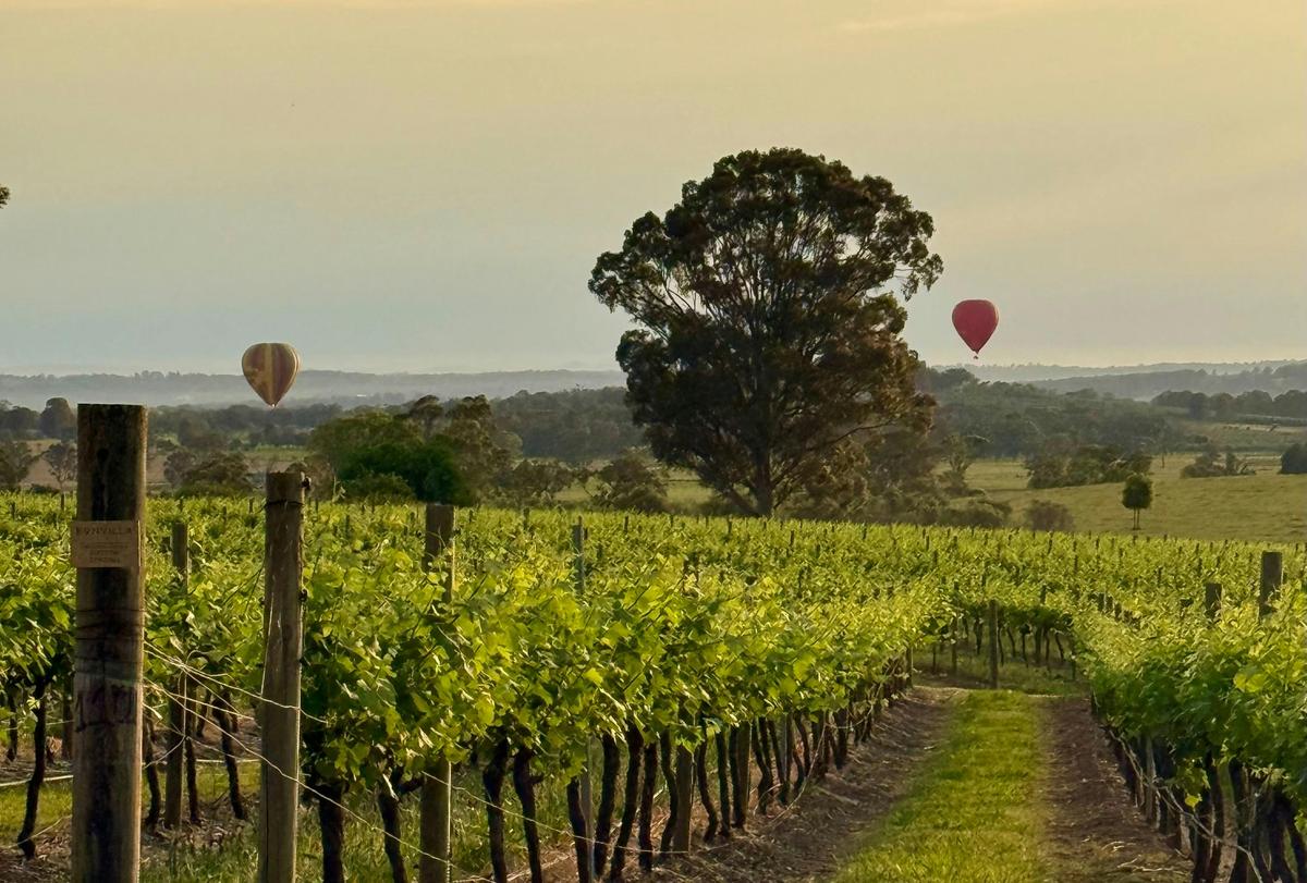 Beautiful Hunter Valley Vineyards and Ballooons