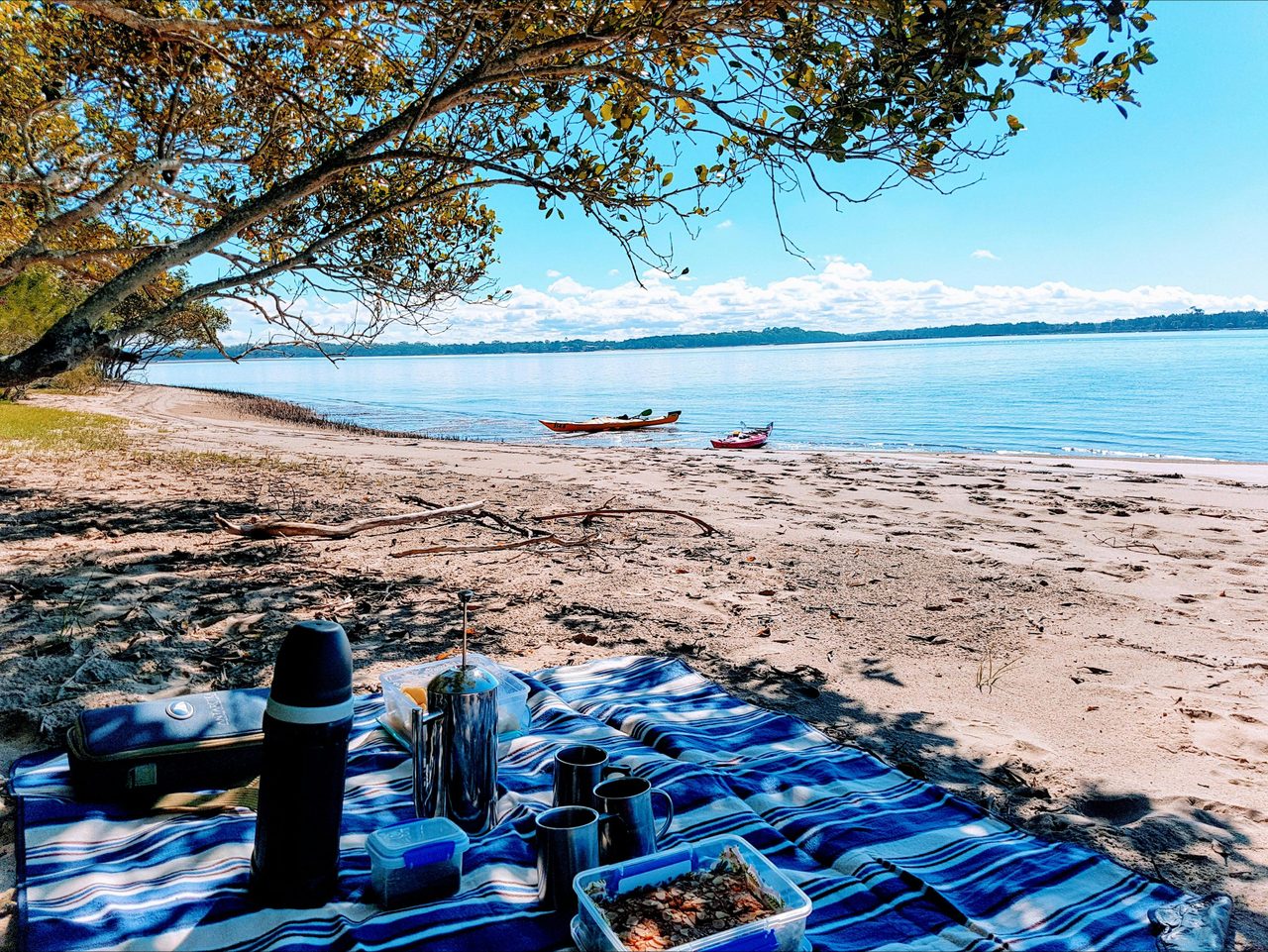Morning tea stop on a deserted river island