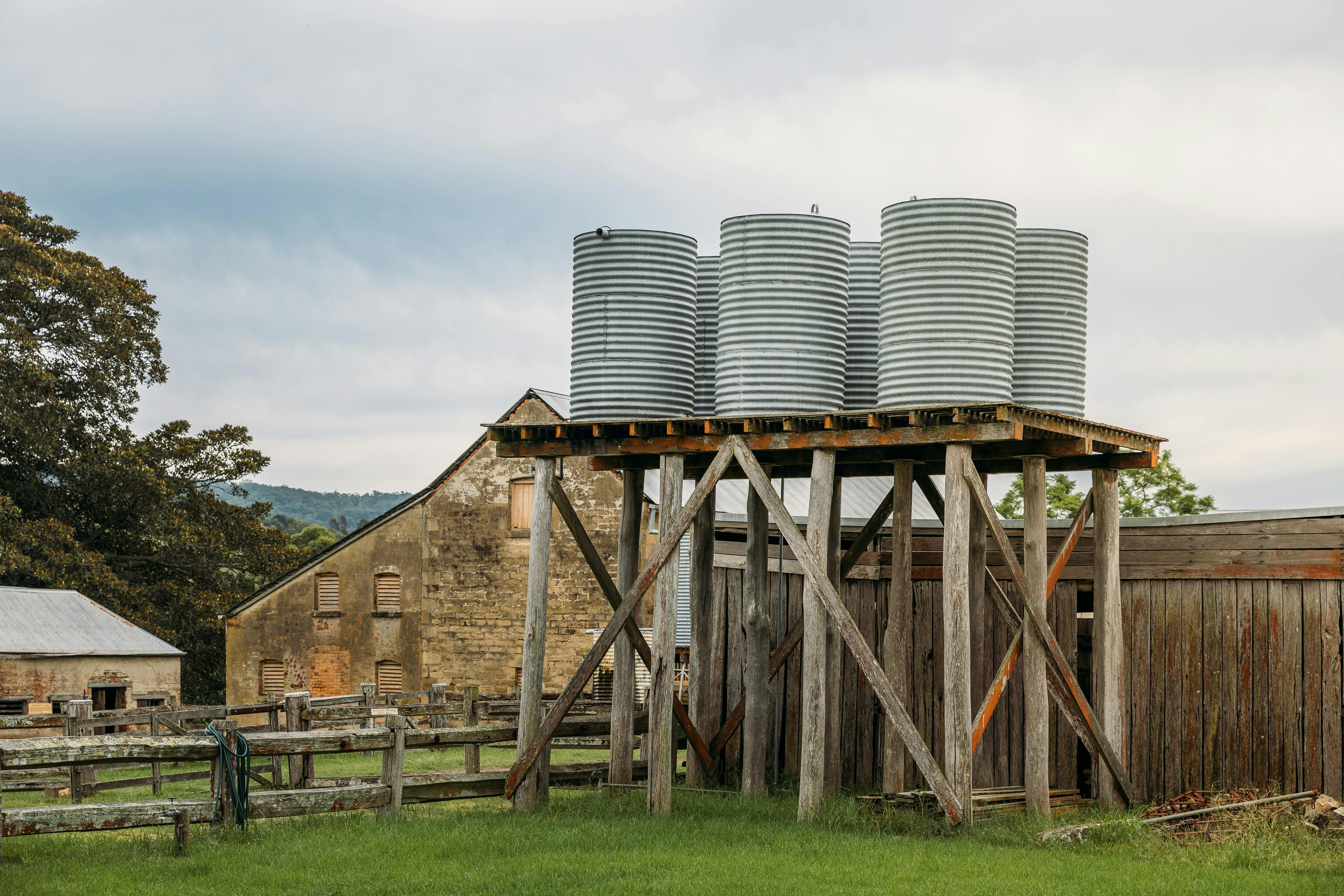 Tocal Homestead Tours