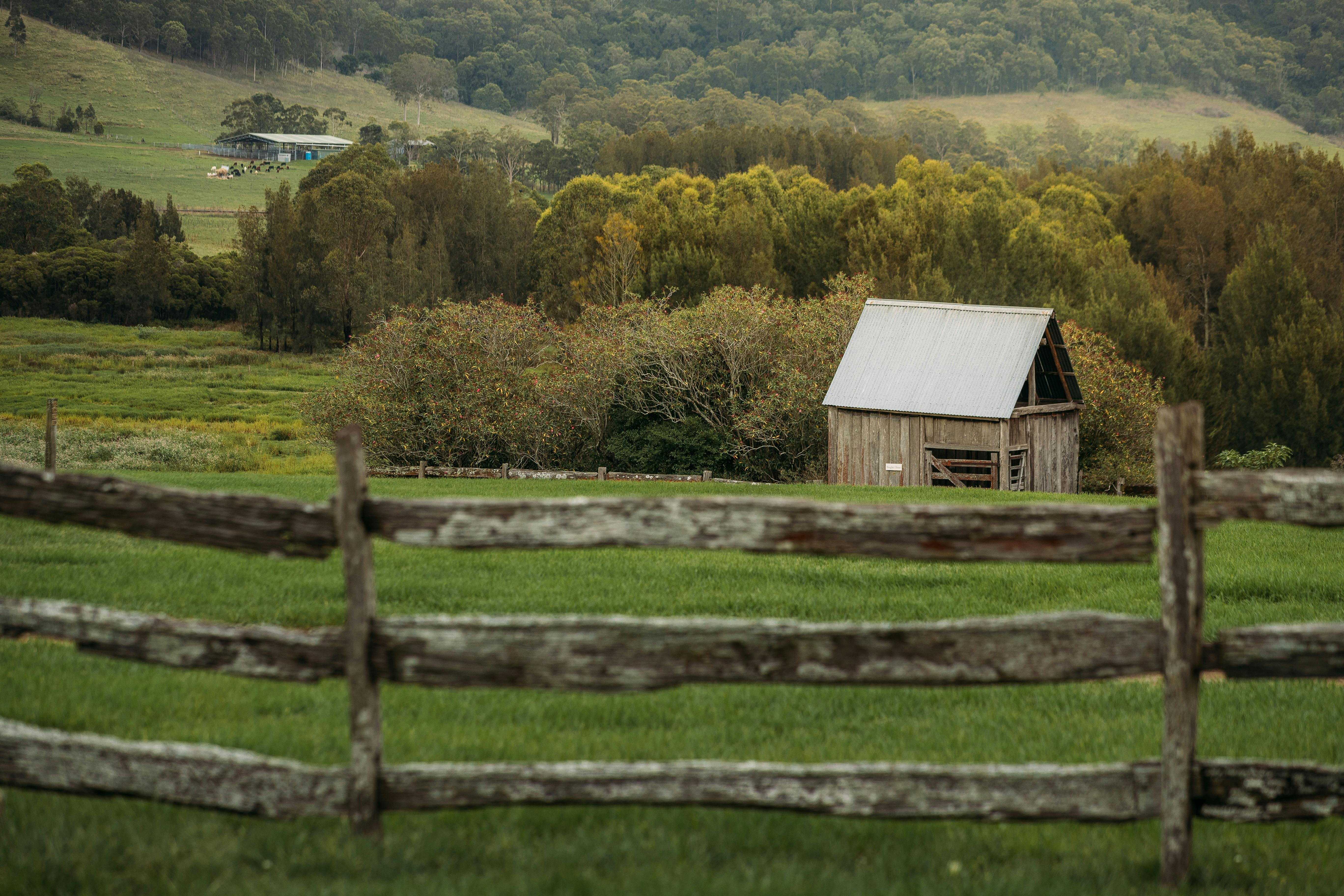 Tocal Homestead Tours