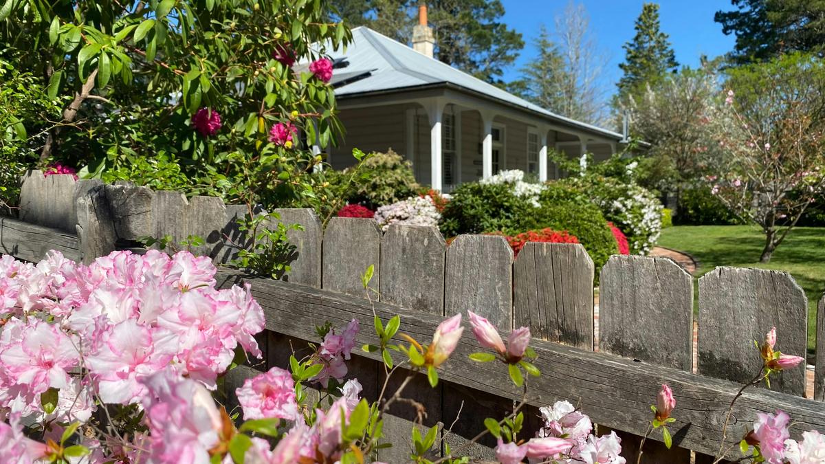 Leura, Blue Mountains UNESCO National Park – Private Luxury Nature Tour from Sydney