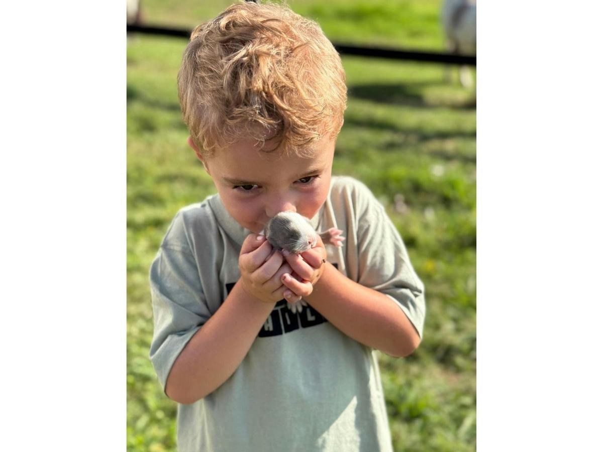 A young boy sharing a gentle moment with a tiny chick