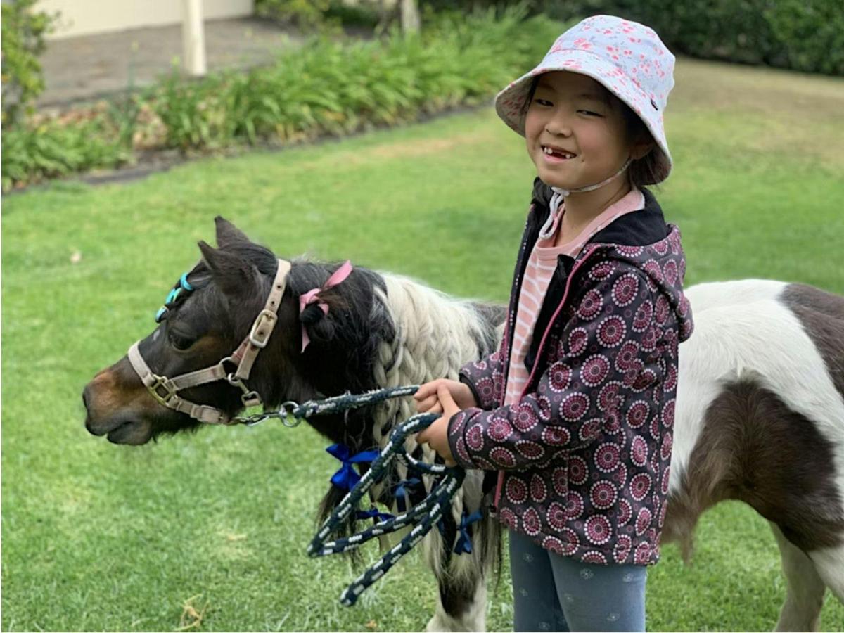 Young girl beaming with joy as she walks alongside a miniature horse