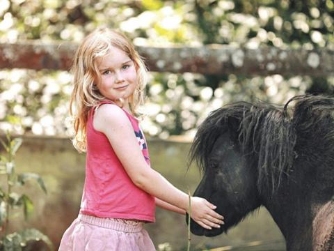 Young girl petting the mini horse