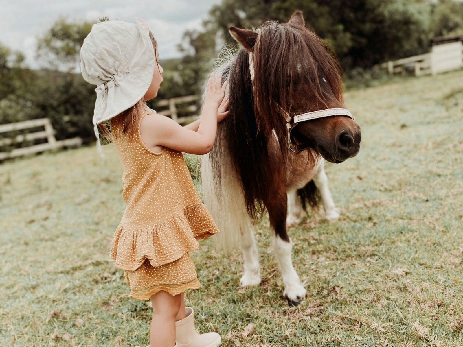 A young girl gently petting a friendly miniature horse