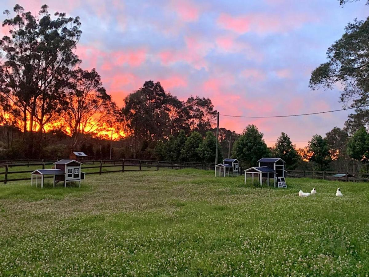 Farm sunrise